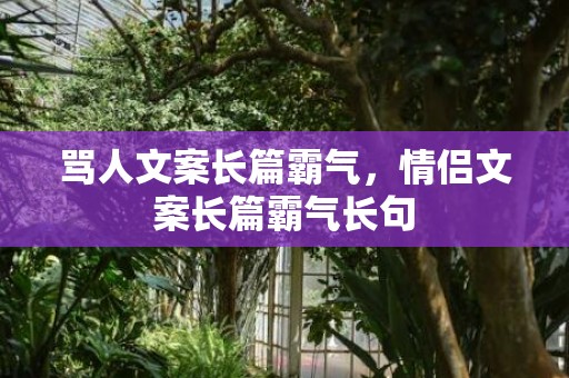 骂人文案长篇霸气，情侣文案长篇霸气长句