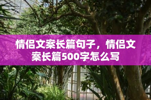 情侣文案长篇句子，情侣文案长篇500字怎么写