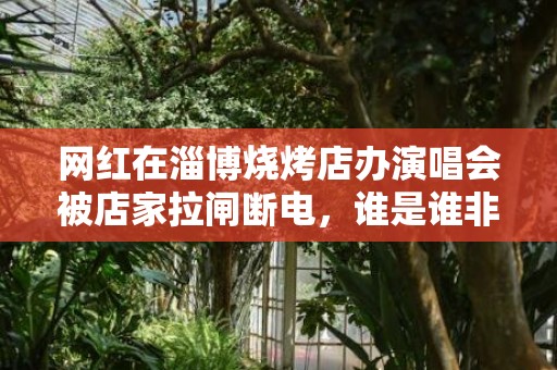 网红在淄博烧烤店办演唱会被店家拉闸断电，谁是谁非，先别拿淄博说事