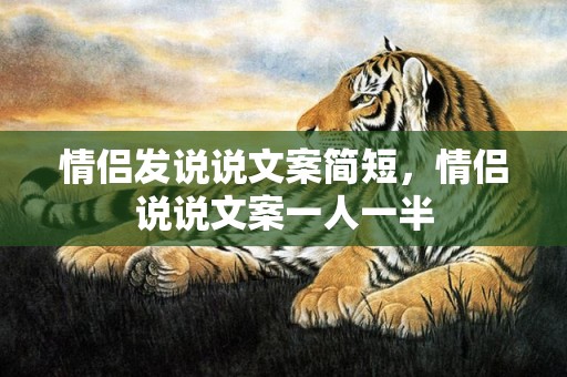 情侣发说说文案简短，情侣说说文案一人一半