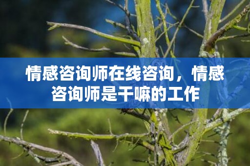 情感咨询师在线咨询，情感咨询师是干嘛的工作
