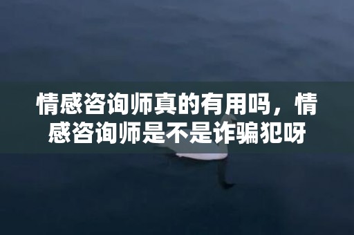 情感咨询师真的有用吗，情感咨询师是不是诈骗犯呀
