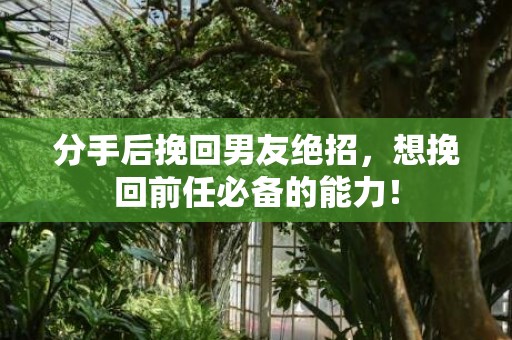 分手后挽回男友绝招，想挽回前任必备的能力！