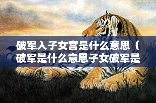 破军入子女宫是什么意思（破军是什么意思子女破军是什么意思）