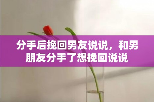分手后挽回男友说说，和男朋友分手了想挽回说说