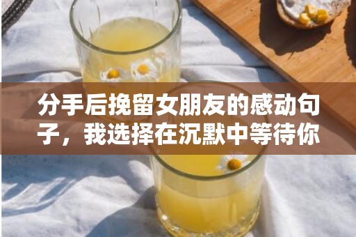 分手后挽留女朋友的感动句子，我选择在沉默中等待你的原谅
