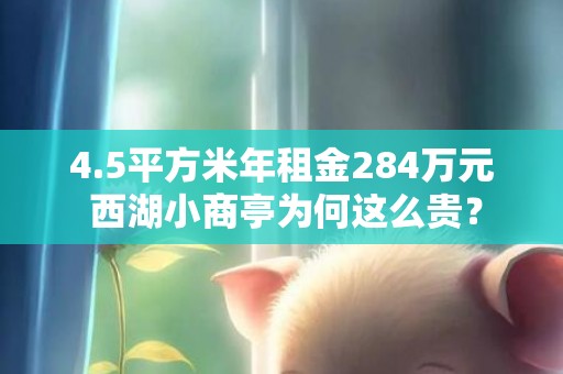 4.5平方米年租金284万元 西湖小商亭为何这么贵？
