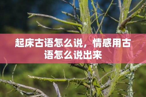 起床古语怎么说，情感用古语怎么说出来