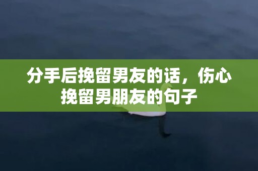 分手后挽留男友的话，伤心挽留男朋友的句子