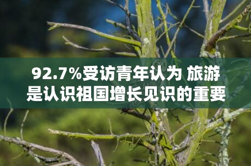 92.7%受访青年认为 旅游是认识祖国增长见识的重要方式