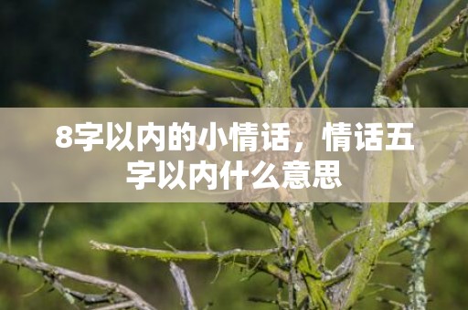 8字以内的小情话，情话五字以内什么意思