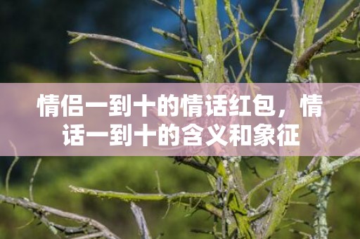 情侣一到十的情话红包，情话一到十的含义和象征