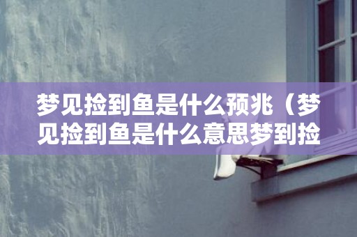 梦见捡到鱼是什么预兆（梦见捡到鱼是什么意思梦到捡鱼意味着什么）