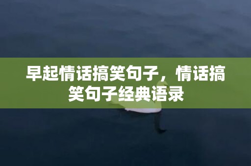 早起情话搞笑句子，情话搞笑句子经典语录