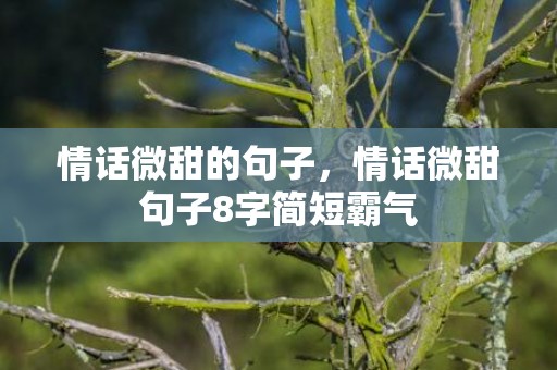 情话微甜的句子，情话微甜句子8字简短霸气
