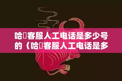 哈啰客服人工电话是多少号的（哈啰客服人工电话是多少号）