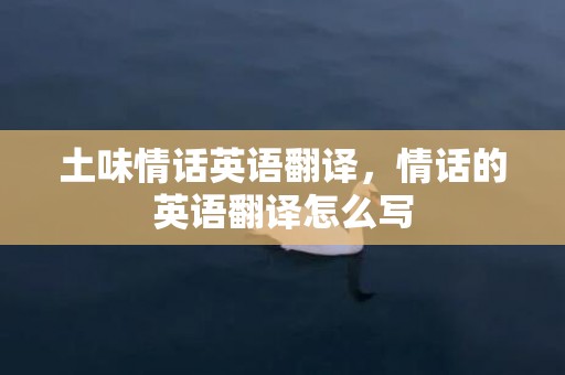 土味情话英语翻译，情话的英语翻译怎么写