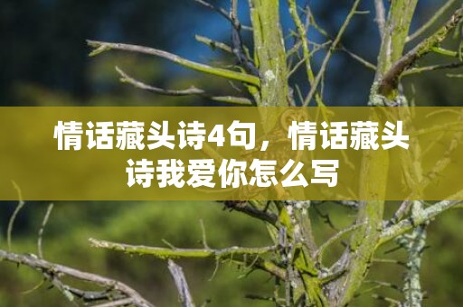 情话藏头诗4句，情话藏头诗我爱你怎么写