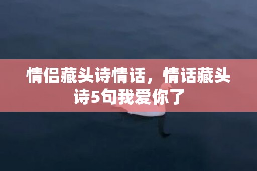 情侣藏头诗情话，情话藏头诗5句我爱你了