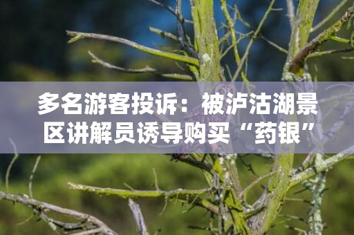 多名游客投诉：被泸沽湖景区讲解员诱导购买“药银”