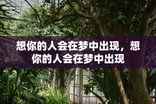 想你的人会在梦中出现，想你的人会在梦中出现