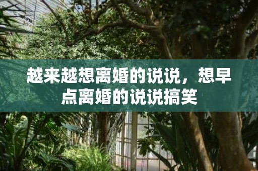 越来越想离婚的说说，想早点离婚的说说搞笑