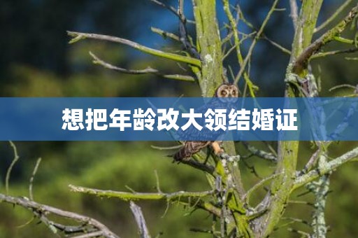 想把年龄改大领结婚证