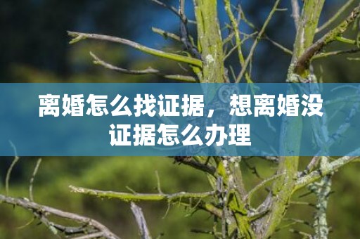 离婚怎么找证据，想离婚没证据怎么办理