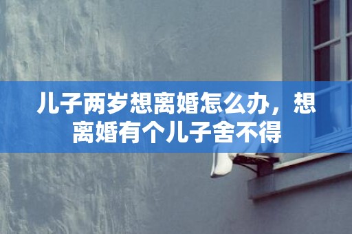 儿子两岁想离婚怎么办，想离婚有个儿子舍不得