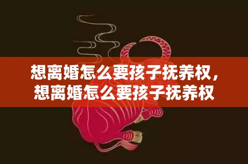 想离婚怎么要孩子抚养权，想离婚怎么要孩子抚养权