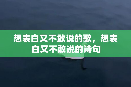 想表白又不敢说的歌，想表白又不敢说的诗句