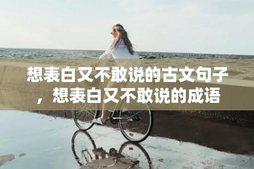 想表白又不敢说的古文句子，想表白又不敢说的成语