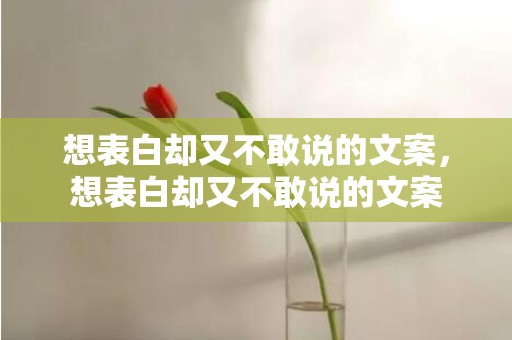 想表白却又不敢说的文案，想表白却又不敢说的文案