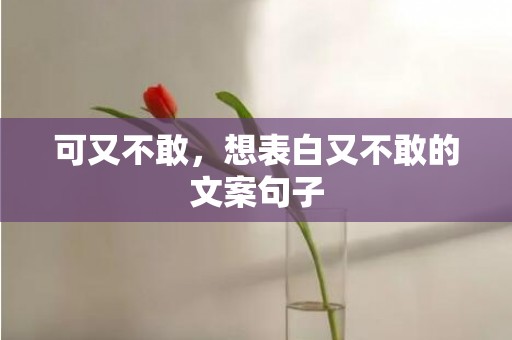 可又不敢，想表白又不敢的文案句子