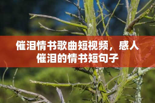 催泪情书歌曲短视频，感人催泪的情书短句子
