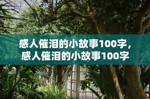感人催泪的小故事100字，感人催泪的小故事100字