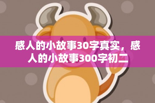 感人的小故事30字真实，感人的小故事300字初二