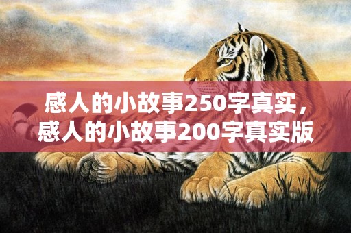感人的小故事250字真实，感人的小故事200字真实版