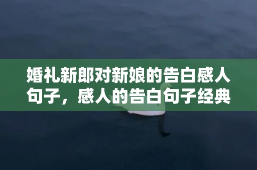 婚礼新郎对新娘的告白感人句子，感人的告白句子经典语录