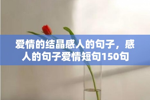 爱情的结晶感人的句子，感人的句子爱情短句150句