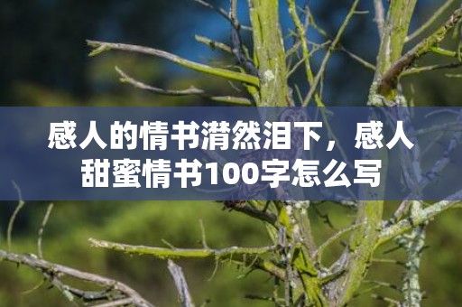 感人的情书潸然泪下，感人甜蜜情书100字怎么写