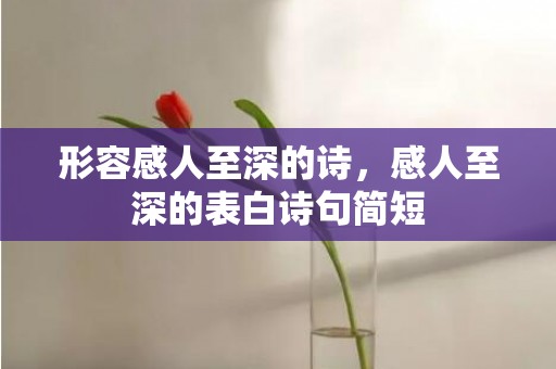 形容感人至深的诗，感人至深的表白诗句简短