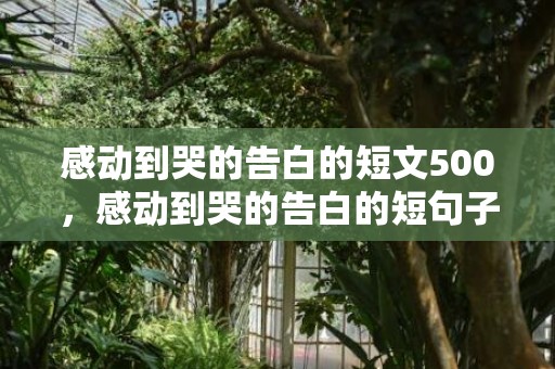 感动到哭的告白的短文500，感动到哭的告白的短句子