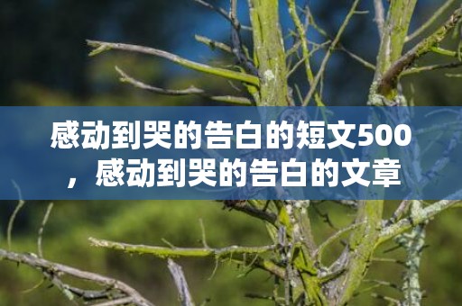 感动到哭的告白的短文500，感动到哭的告白的文章