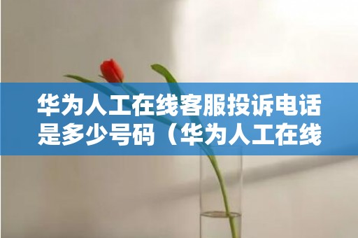 华为人工在线客服投诉电话是多少号码（华为人工在线客服投诉电话是多少）