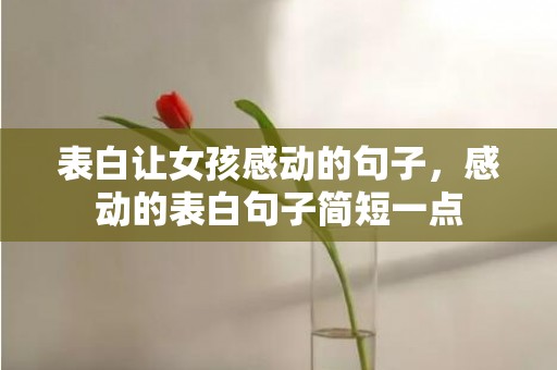 表白让女孩感动的句子，感动的表白句子简短一点