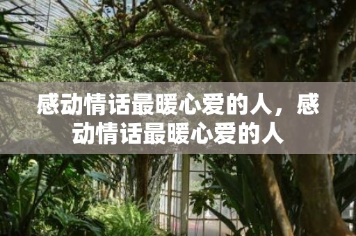 感动情话最暖心爱的人，感动情话最暖心爱的人