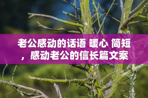 老公感动的话语 暖心 简短，感动老公的信长篇文案
