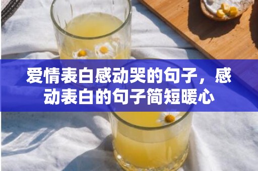 爱情表白感动哭的句子，感动表白的句子简短暖心
