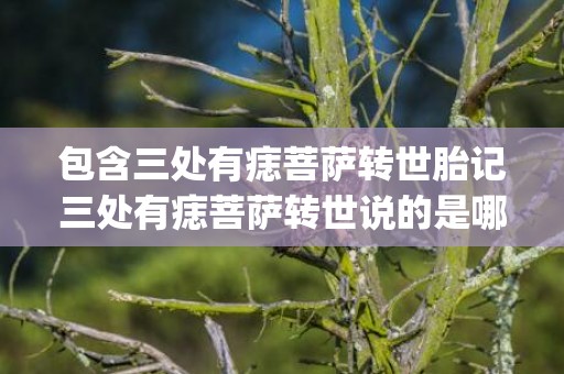 包含三处有痣菩萨转世胎记三处有痣菩萨转世说的是哪三处地方_...的词条